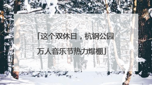 这个双休日，杭钢公园万人音乐节热力爆棚