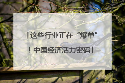 这些行业正在“爆单”！中国经济活力密码