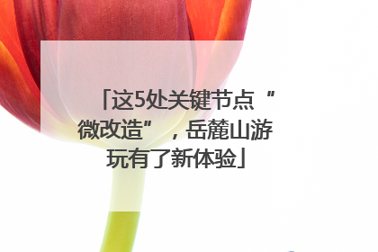 这5处关键节点“微改造”，岳麓山游玩有了新体验