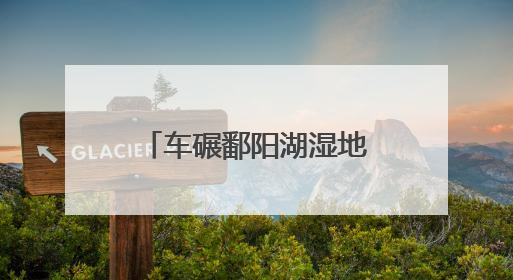 车碾鄱阳湖湿地案引入劳动代偿：生态法治在创新尝试｜有一说一