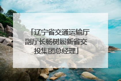 辽宁省交通运输厅副厅长杨树履新省交投集团总经理
