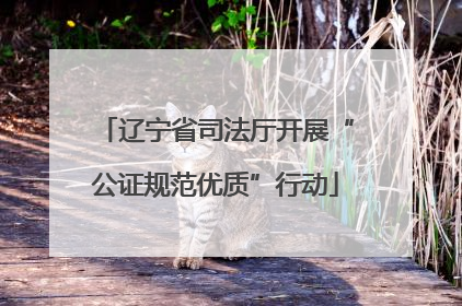 辽宁省司法厅开展“公证规范优质”行动