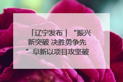 辽宁发布｜“振兴新突破 决胜勇争先”阜新以项目攻坚破解发展瓶颈 经济发展实现良好开局