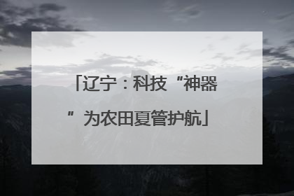 辽宁：科技“神器”为农田夏管护航