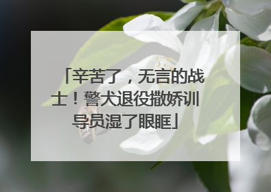 辛苦了，无言的战士！警犬退役撒娇训导员湿了眼眶
