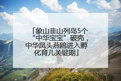 象山韭山列岛5个“中华宝宝”破壳，中华凤头燕鸥进入孵化育儿关键期