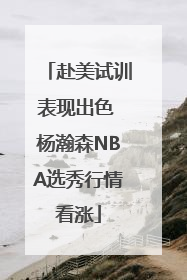赴美试训表现出色 杨瀚森NBA选秀行情看涨