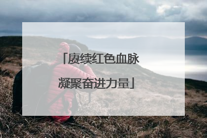 赓续红色血脉 凝聚奋进力量
