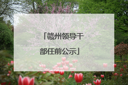 赣州领导干部任前公示