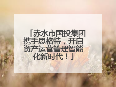 赤水市国投集团携手思格特，开启资产运营管理智能化新时代！