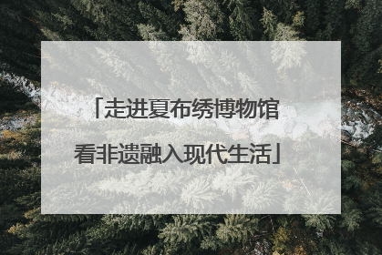 走进夏布绣博物馆 看非遗融入现代生活