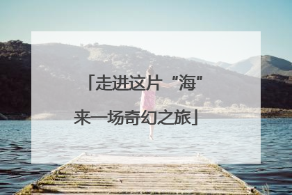 走进这片“海”来一场奇幻之旅