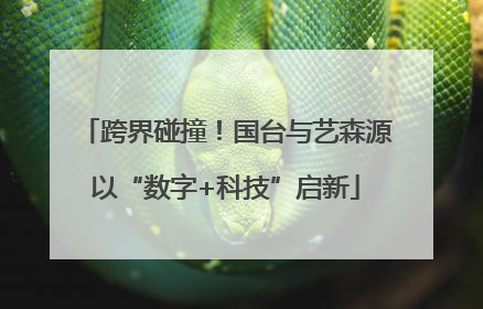 跨界碰撞！国台与艺森源以“数字+科技”启新