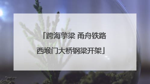 跨海擎梁 甬舟铁路西堠门大桥钢梁开架