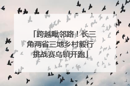 跨越毗邻路！长三角两省三地乡村毅行挑战赛乌镇开跑