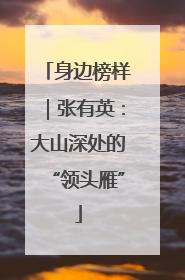 身边榜样｜张有英：大山深处的“领头雁”