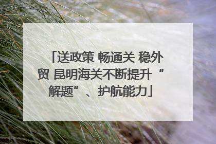 送政策 畅通关 稳外贸 昆明海关不断提升“解题”、护航能力