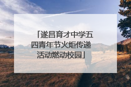 遂昌育才中学五四青年节火炬传递活动燃动校园