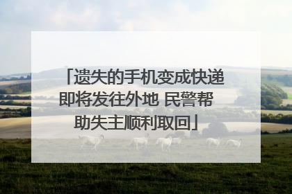 遗失的手机变成快递即将发往外地 民警帮助失主顺利取回