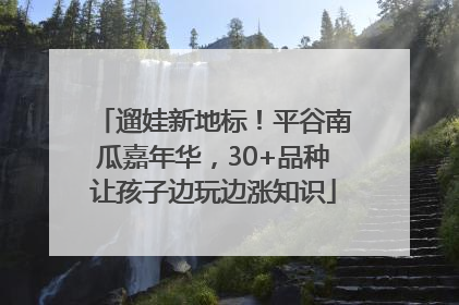 遛娃新地标！平谷南瓜嘉年华，30+品种让孩子边玩边涨知识