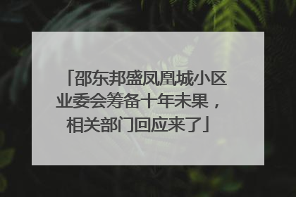 邵东邦盛凤凰城小区业委会筹备十年未果，相关部门回应来了