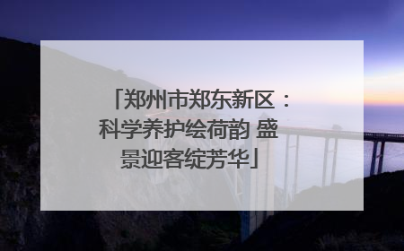 郑州市郑东新区：科学养护绘荷韵 盛景迎客绽芳华