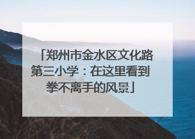 郑州市金水区文化路第三小学：在这里看到拳不离手的风景