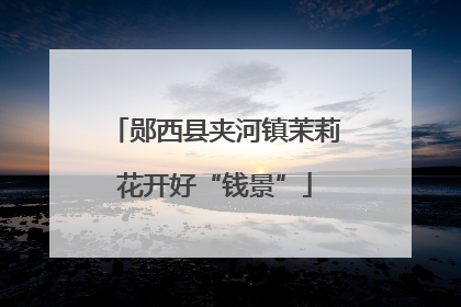 郧西县夹河镇茉莉花开好“钱景”