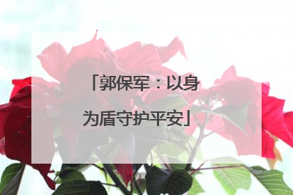 郭保军：以身为盾守护平安