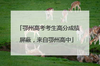鄂州高考考生高分成绩屏蔽，来自鄂州高中