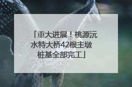 重大进展！桃源沅水特大桥42根主墩桩基全部完工