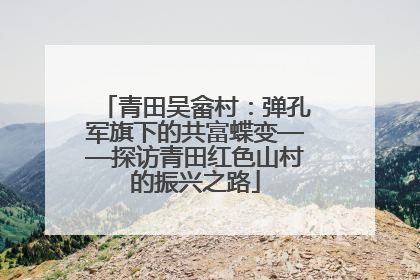 青田吴畲村：弹孔军旗下的共富蝶变——探访青田红色山村的振兴之路