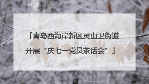 青岛西海岸新区灵山卫街道开展“庆七一党员茶话会”