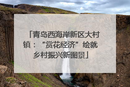 青岛西海岸新区大村镇：“赏花经济”绘就乡村振兴新图景