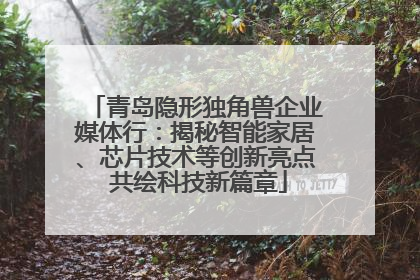 青岛隐形独角兽企业媒体行：揭秘智能家居、芯片技术等创新亮点 共绘科技新篇章