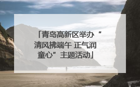 青岛高新区举办“清风拂端午 正气润童心”主题活动