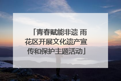 青春赋能非遗 雨花区开展文化遗产宣传和保护主题活动