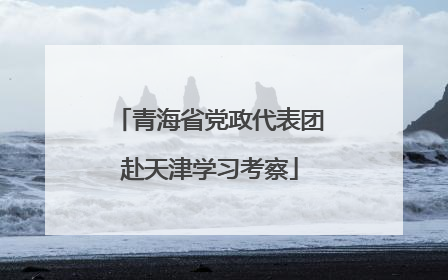 青海省党政代表团赴天津学习考察