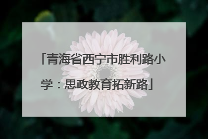 青海省西宁市胜利路小学：思政教育拓新路