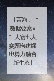 青海：“数据要素×”大赛七大赛题构建绿电算力融合新生态