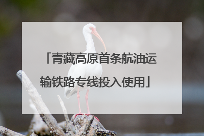 青藏高原首条航油运输铁路专线投入使用