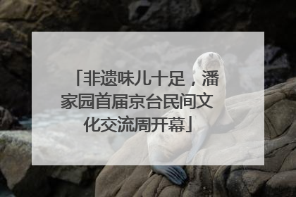 非遗味儿十足，潘家园首届京台民间文化交流周开幕