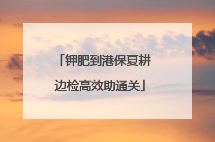 钾肥到港保夏耕 边检高效助通关