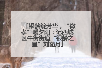 银龄绽芳华，“微孝”暖夕阳：记西城区牛街街道“银龄之星”刘茹月