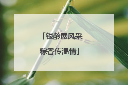 银龄展风采 粽香传温情