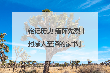 铭记历史 缅怀先烈丨一封感人至深的家书