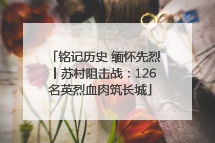 铭记历史 缅怀先烈丨苏村阻击战：126名英烈血肉筑长城