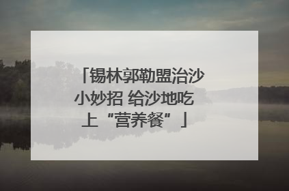 锡林郭勒盟治沙小妙招 给沙地吃上“营养餐”