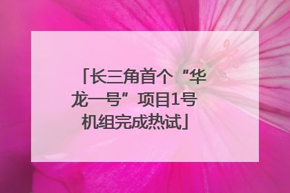 长三角首个“华龙一号”项目1号机组完成热试