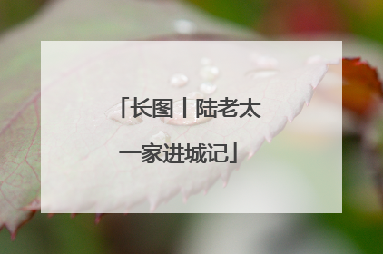 长图丨陆老太一家进城记